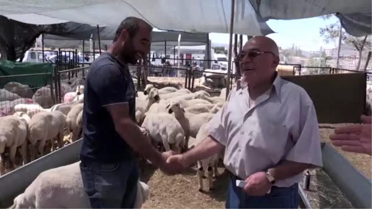 Bayramın birinci gününde de kurban pazarları hareketli