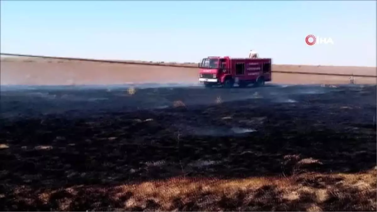 Elektrik tellerine çarpan kuş yangın çıkardı, 2 bin dönüm mera alev alev yandı