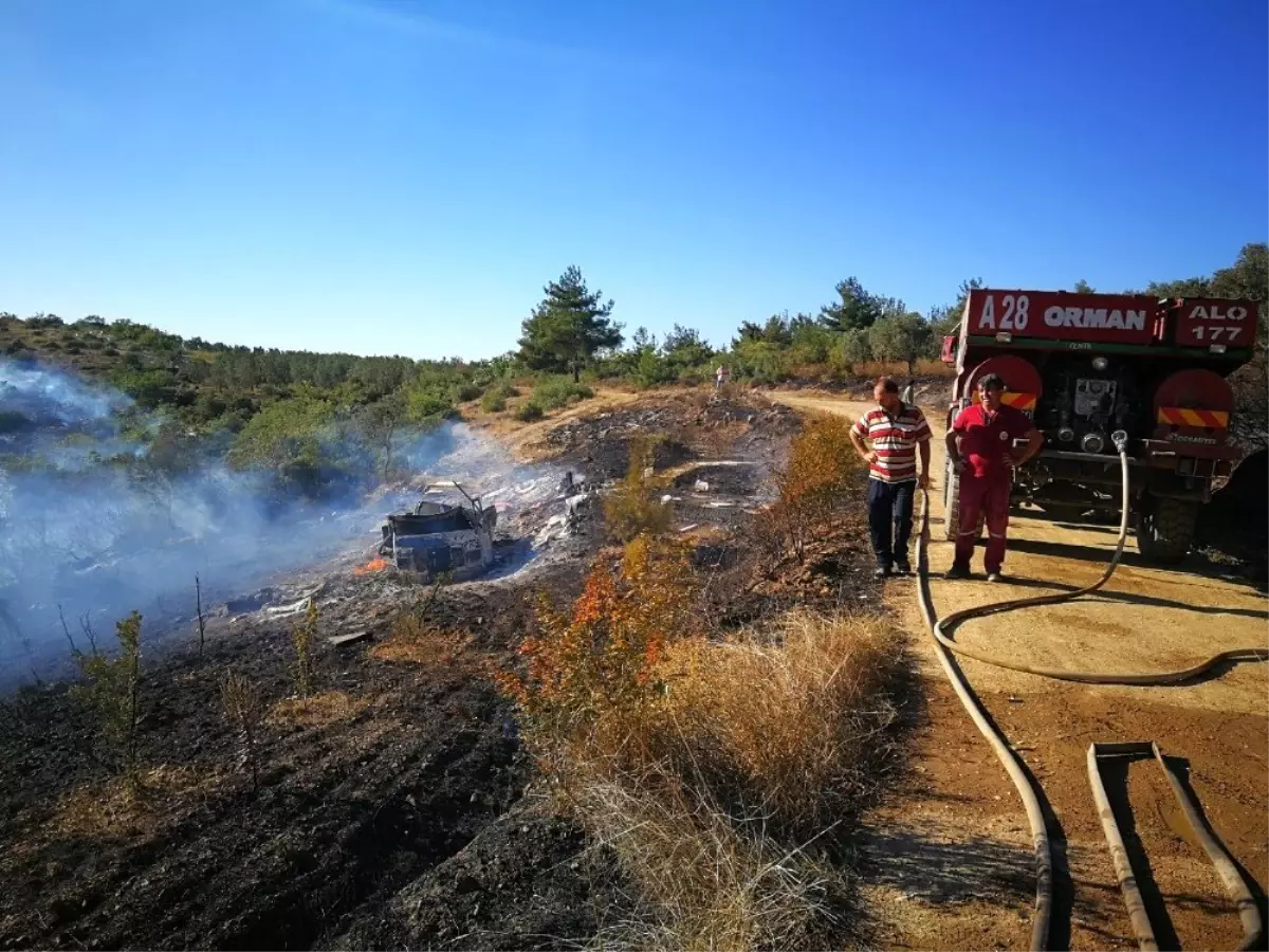 İznik\'teki orman yangını kontrol altına alındı