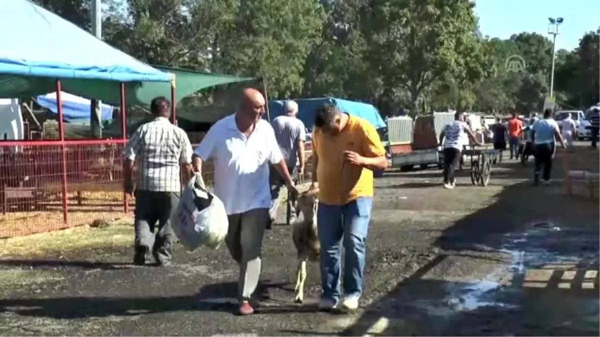 Kurban pazarında bayram hareketliliği