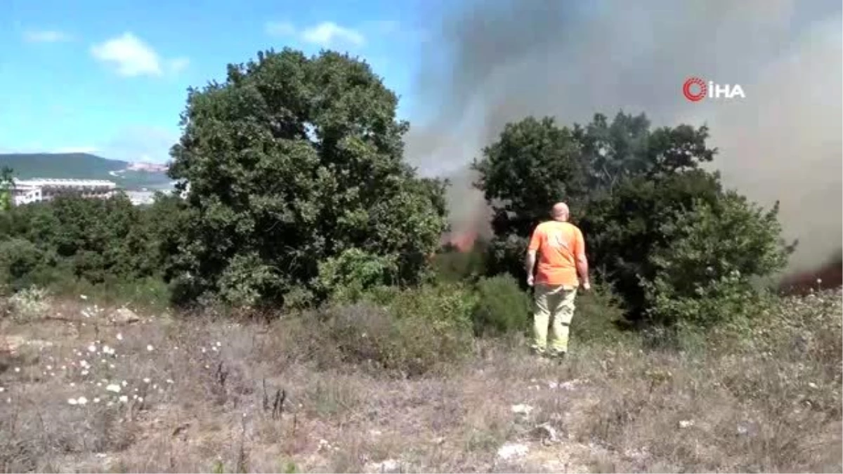 Pendik\'te korkutan orman yangını söndürüldü