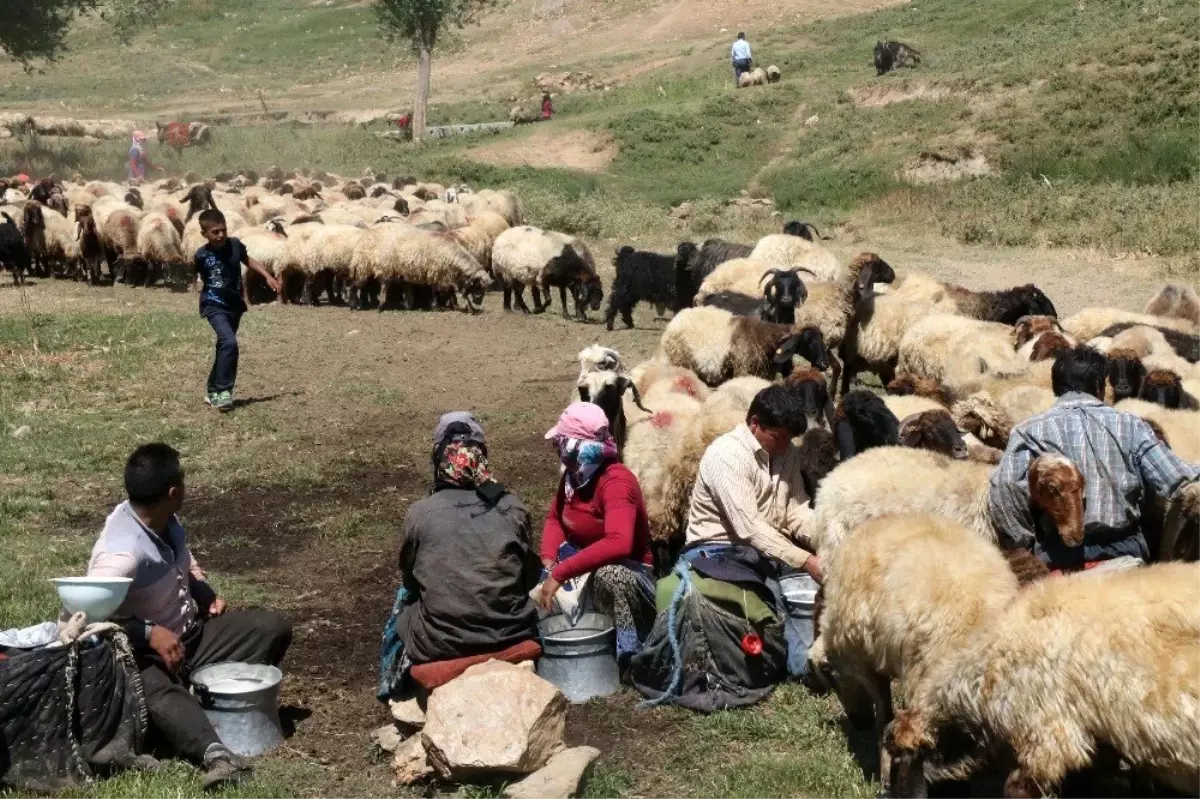 Yaylada Kurban Bayramı