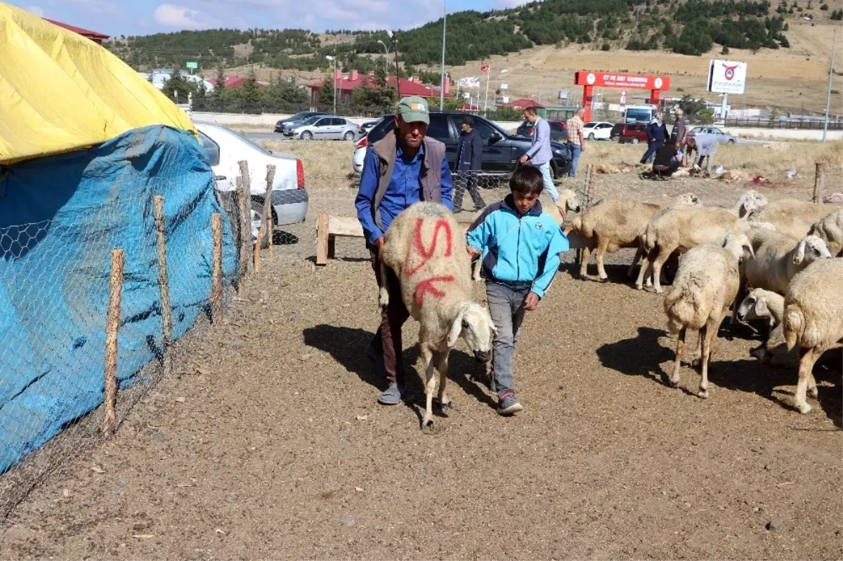 Yozgat\'ta kurban satışları birinci gün de devam etti