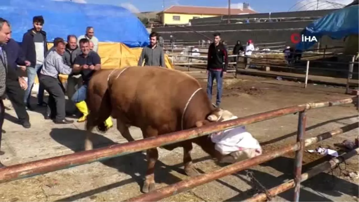 Yozgat\'ta kurban satışları birinci gün de devam etti