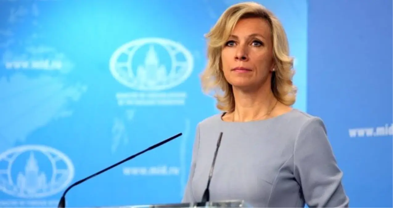 Boks eldiveni giyen Zaharova: Sadece bir kedicik değil bir boksörüm de