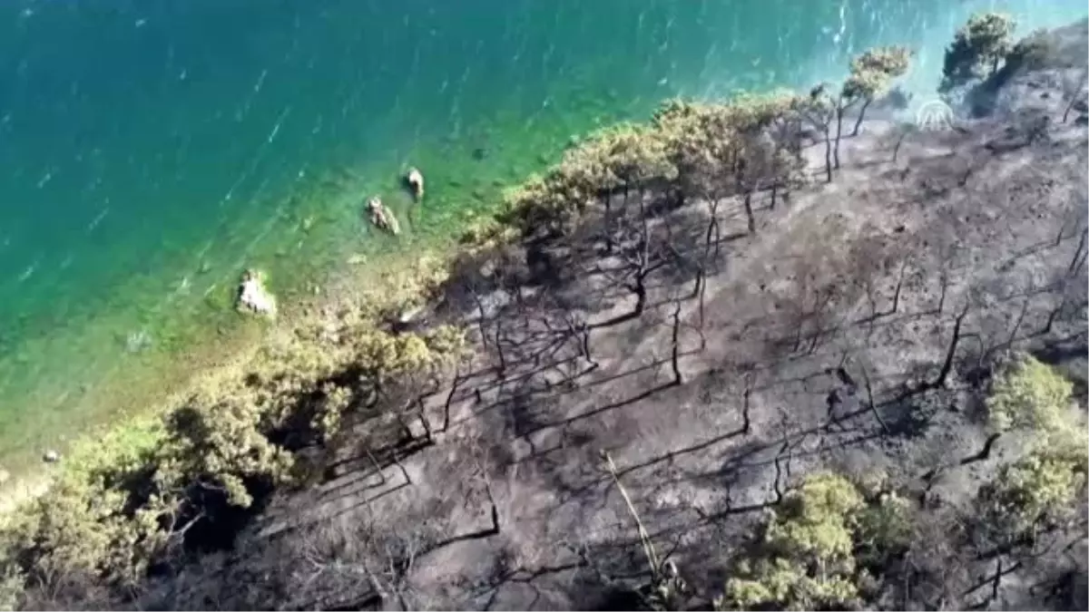 Burgazada\'da yangını söndürüldü, soğutma çalışmaları sürüyor - Drone görüntüleri