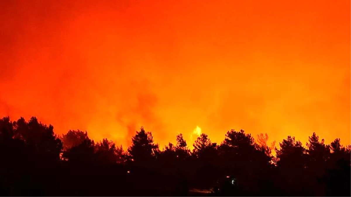 Çanakkale\'de orman yangını