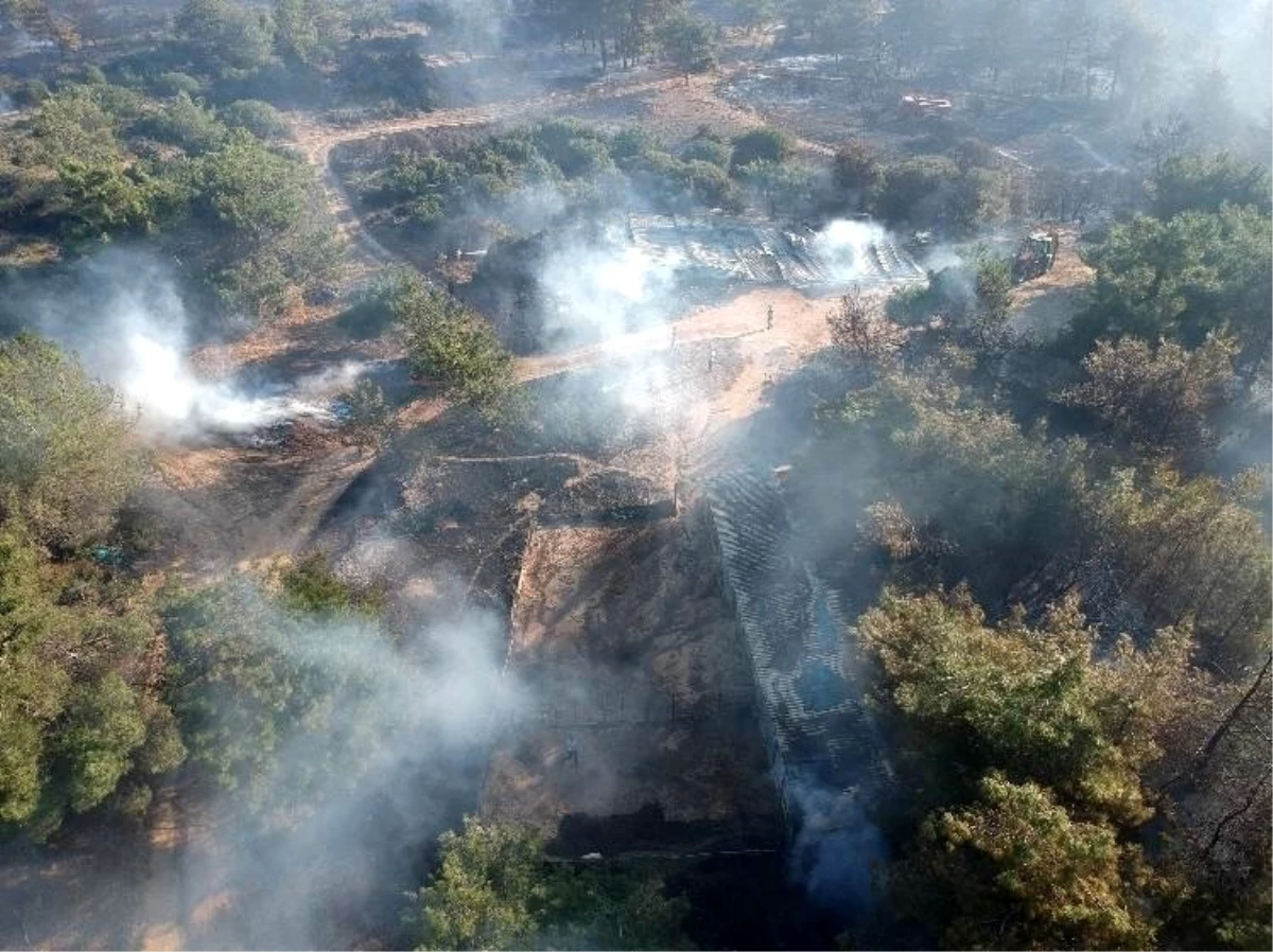 Çanakkale\'deki yangının bilançosu ortaya çıkmaya başladı