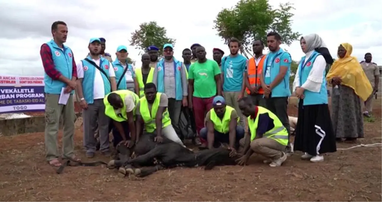 Cumhurbaşkanı Erdoğan kurbanını vekalet yoluyla Togo\'da kesti