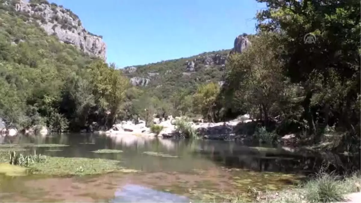 Kanyonda kayalıklardan düşen çocuk yaralandı