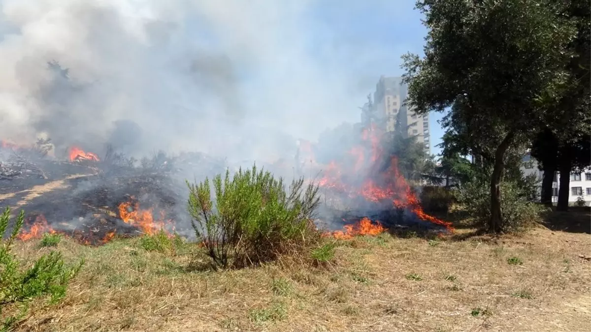 Kartal\'da otluk alanda çıkan yangın otoparka sıçramadan söndürüldü