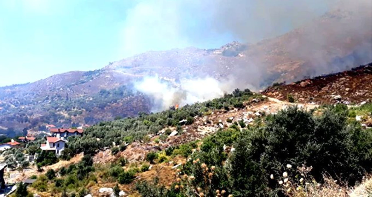 Marmara Adası\'nda orman yangını! Yangın yerleşim yerine ulaştı