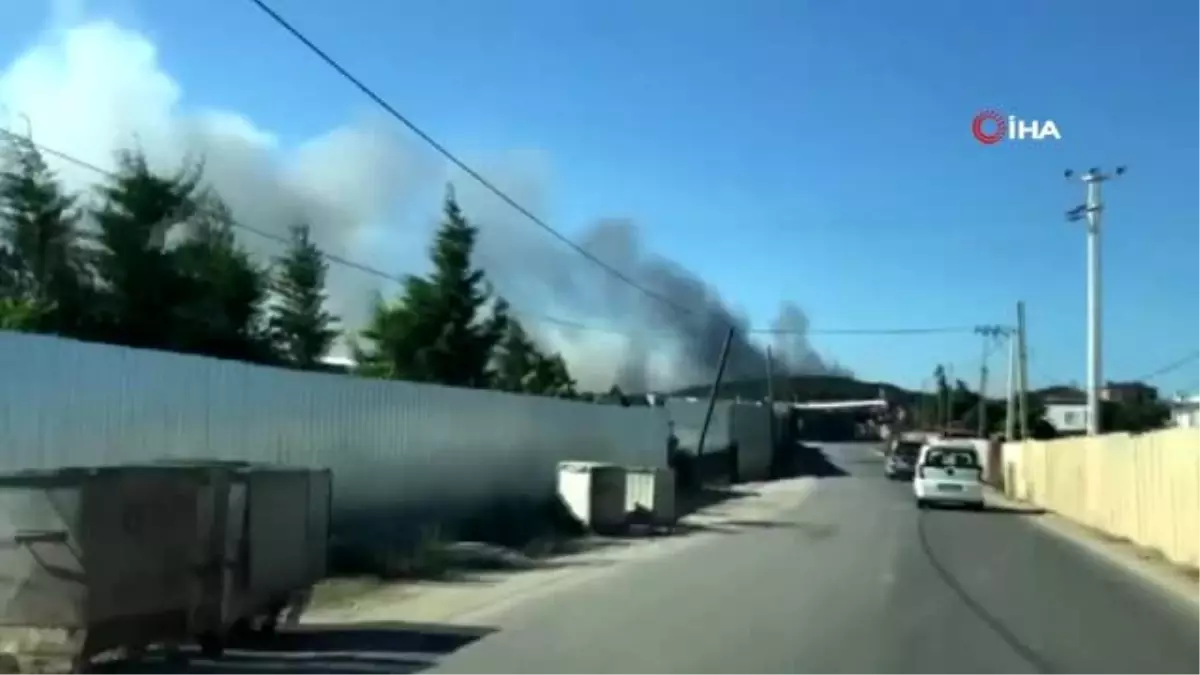 Ormanlık yangını fabrikaya sıçradı