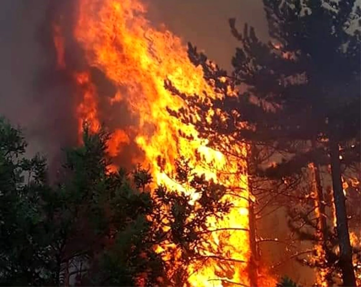 Kütahya\'daki orman yangınını söndürme çalışmaları sürüyor