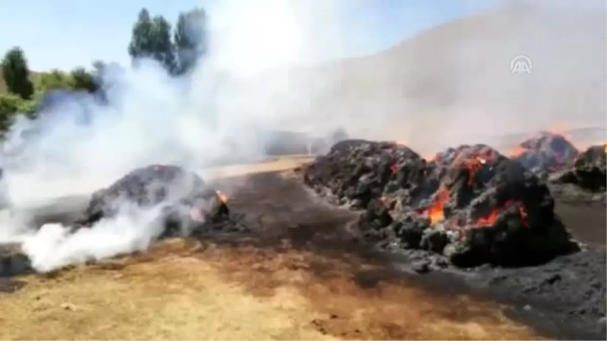 Besicinin umudu otlar yangında kül oldu