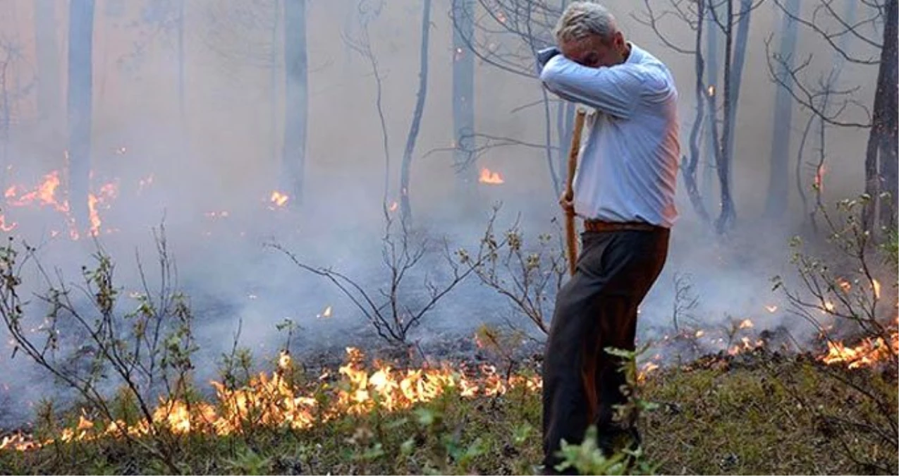 Eskişehir\'deki orman yangını kontrol altına alındı! Yüzlerce ağaç kül oldu