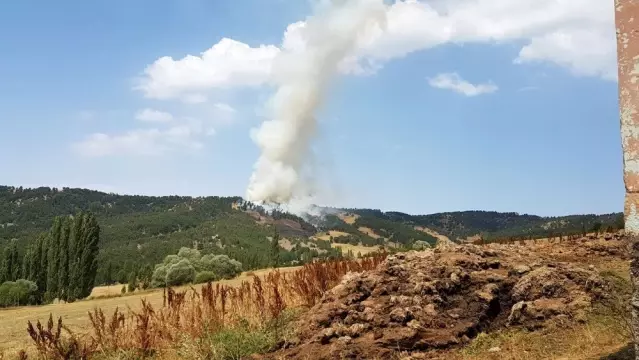 Yozgat'ta 3 hektarlık alan kül oldu - Son Dakika