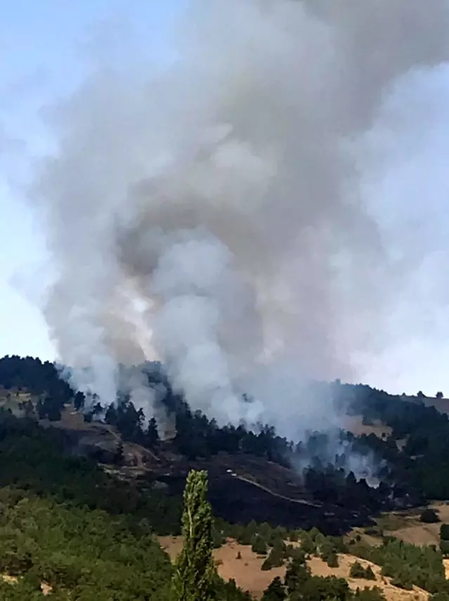Yozgat’ta 3 hektarlık alan kül oldu Son Dakika Yozgat’ta 3 hektarlık alan kül oldu Son Dakika
