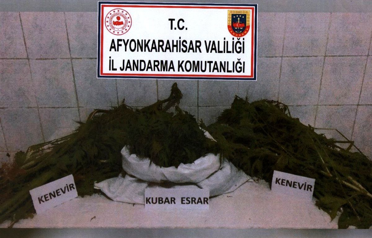 Afyon\'da 1 kilo 5 gram esrar, 80 kök kenevir elegeçirildi