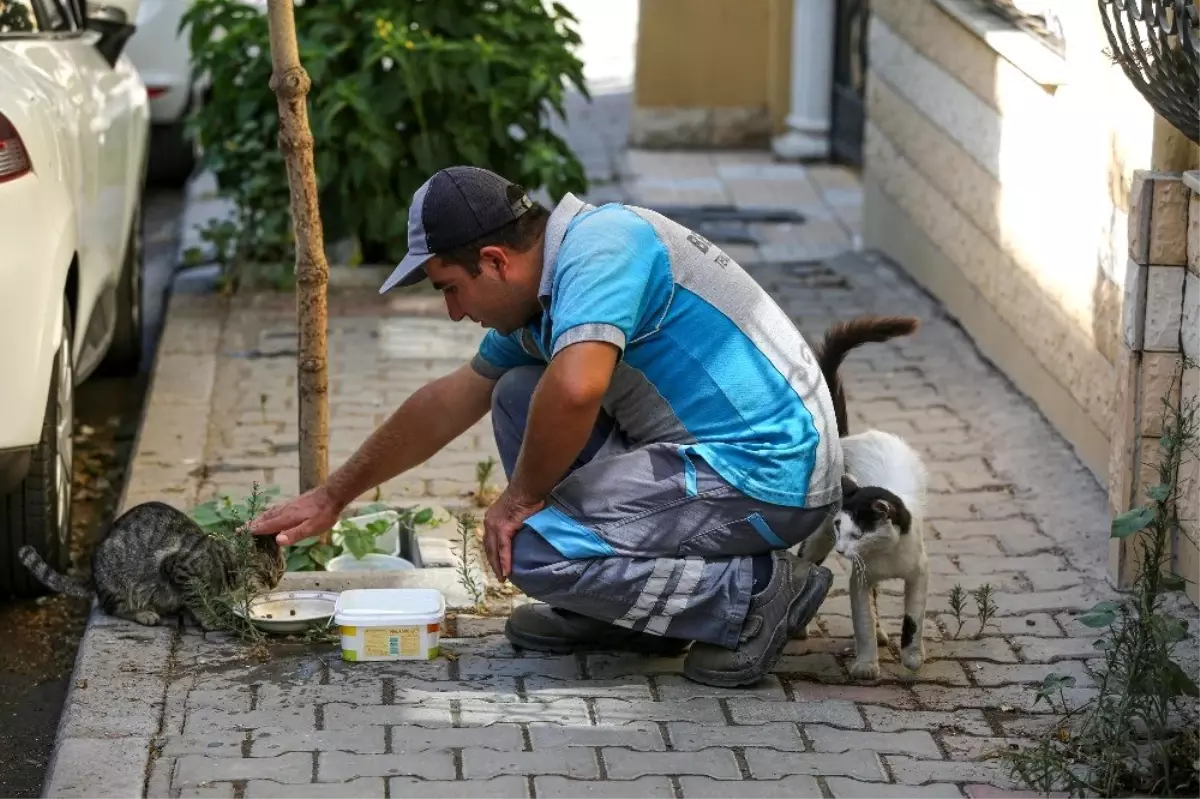 Buca\'nın koca yürekli temizlik personeli sokaklara sevgi ekiyor