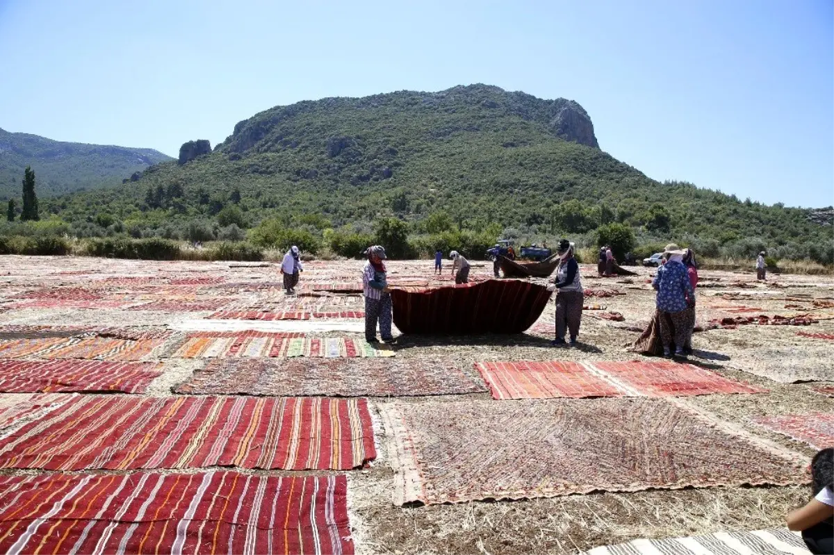 Döşemealtı\'nın halı tarlaları dünya basınında