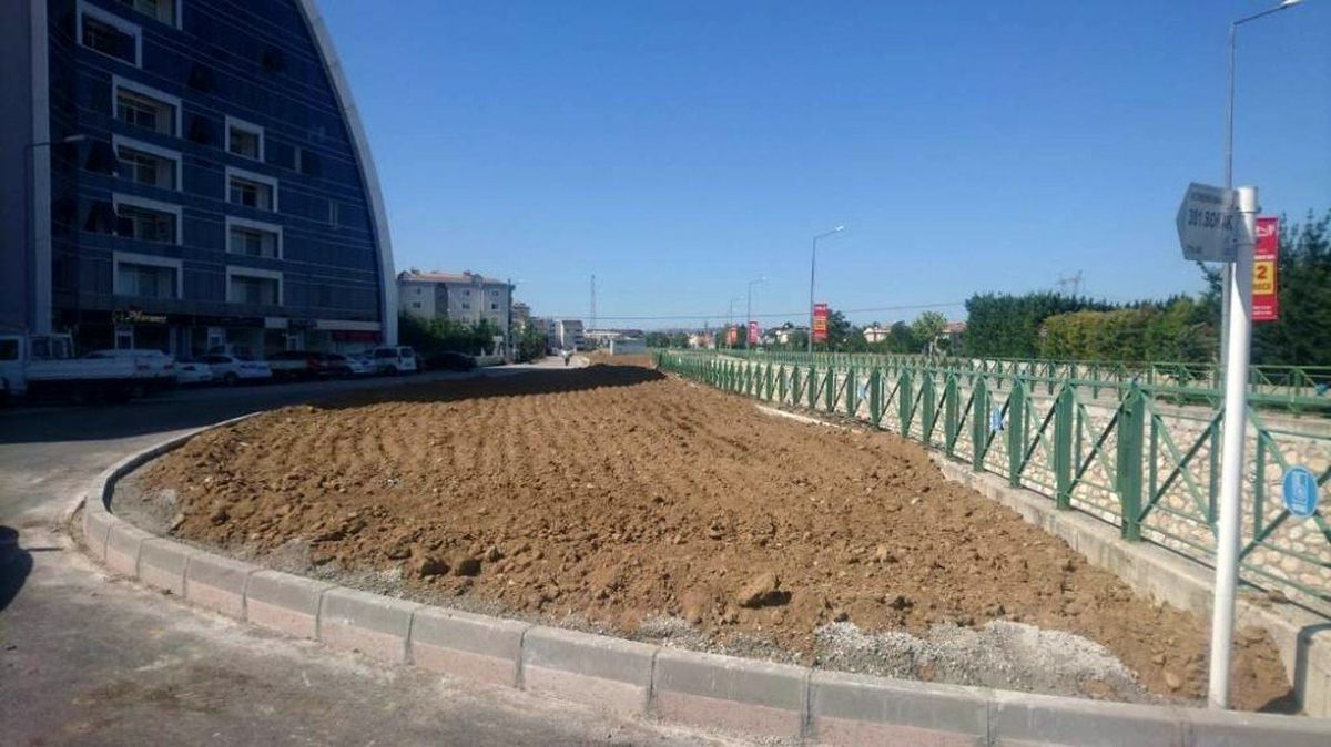 Her şey daha yeşil bir Nilüfer için
