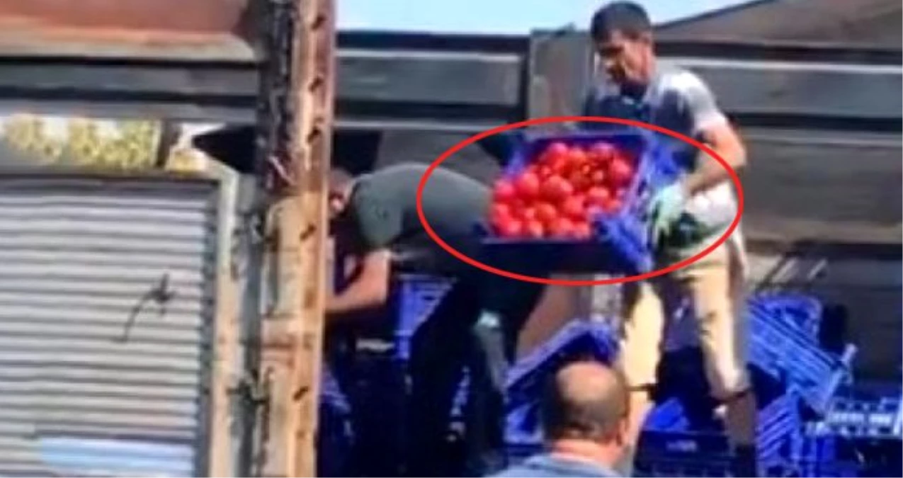 İBB\'den, kasa kasa domatesi çöpe atan pazarcılarla ilgili açıklama: Cezası kesilmiştir