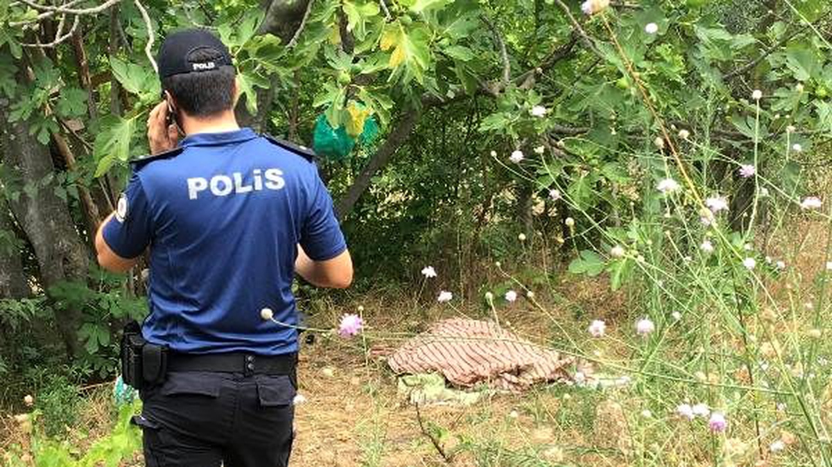 İncir ağacının dalları arasına boynu sıkıştı, nefessiz kalıp öldü