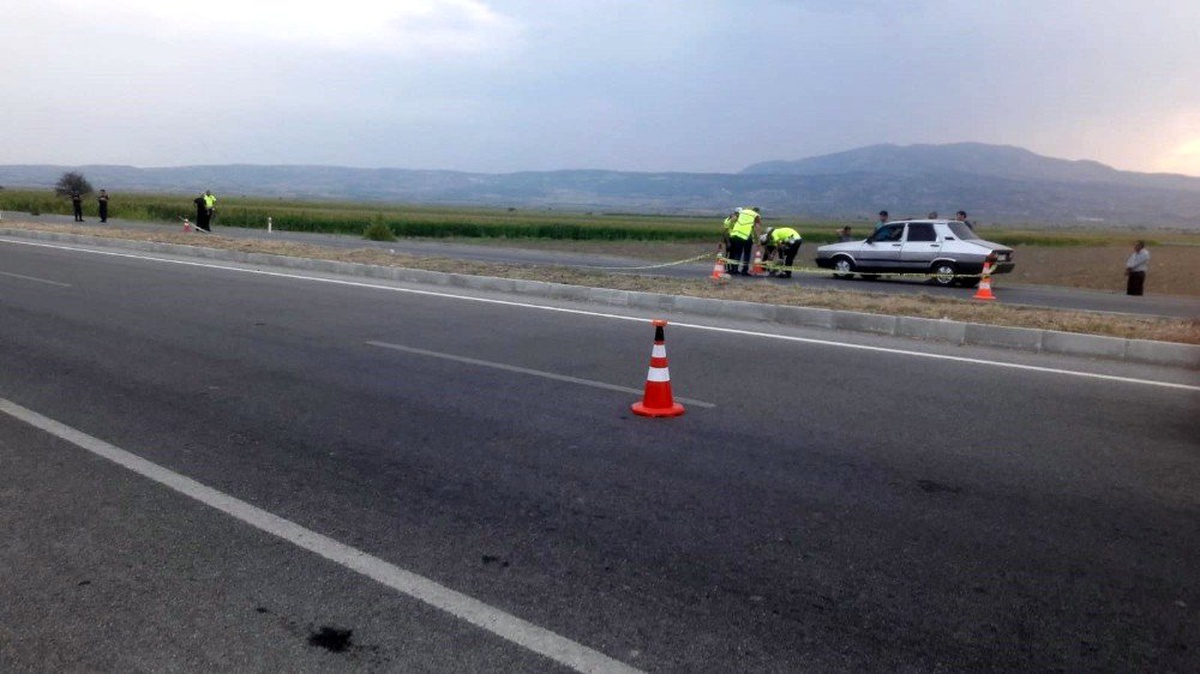Kaplumbağayı kurtarmak isterken canından oldu