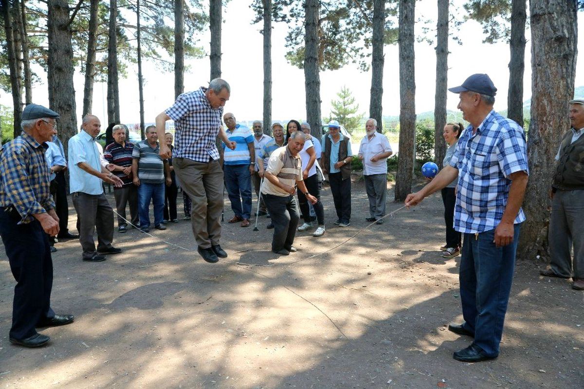 Koca çınarların piknik keyfi