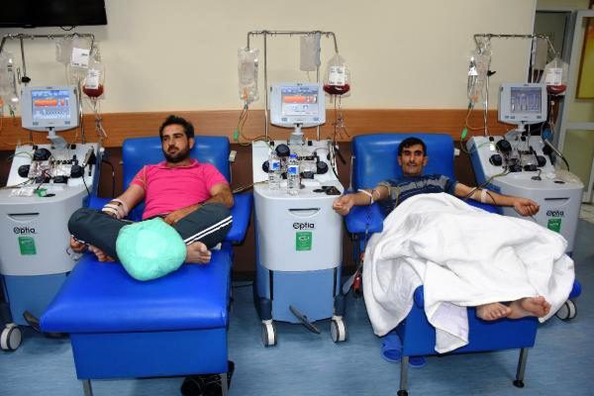 Malatya\'da 7 hastaya aynı anda kök hücre nakli yapıldı