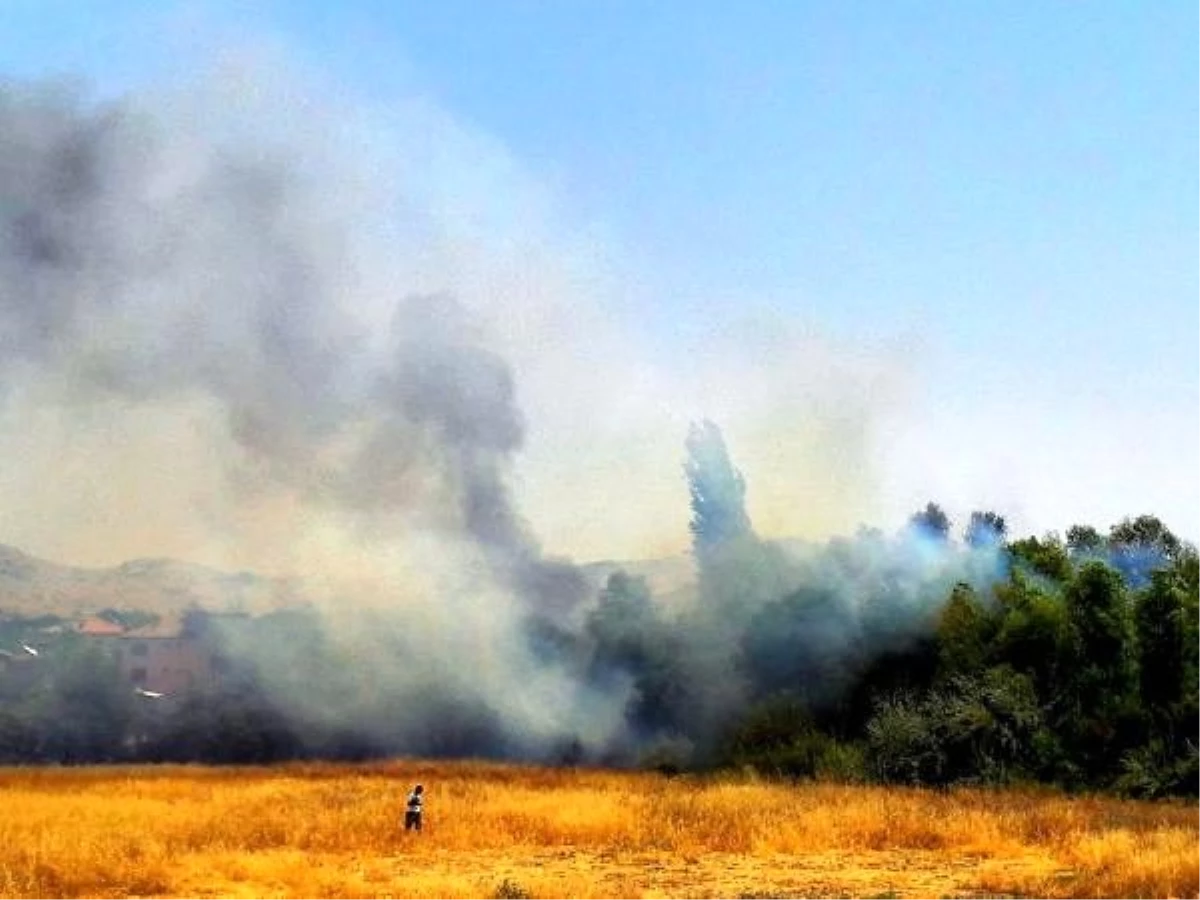 Malatya\'da iki farklı alanda çıkan yangın, 20 hektarlık alanı küle çevirdi