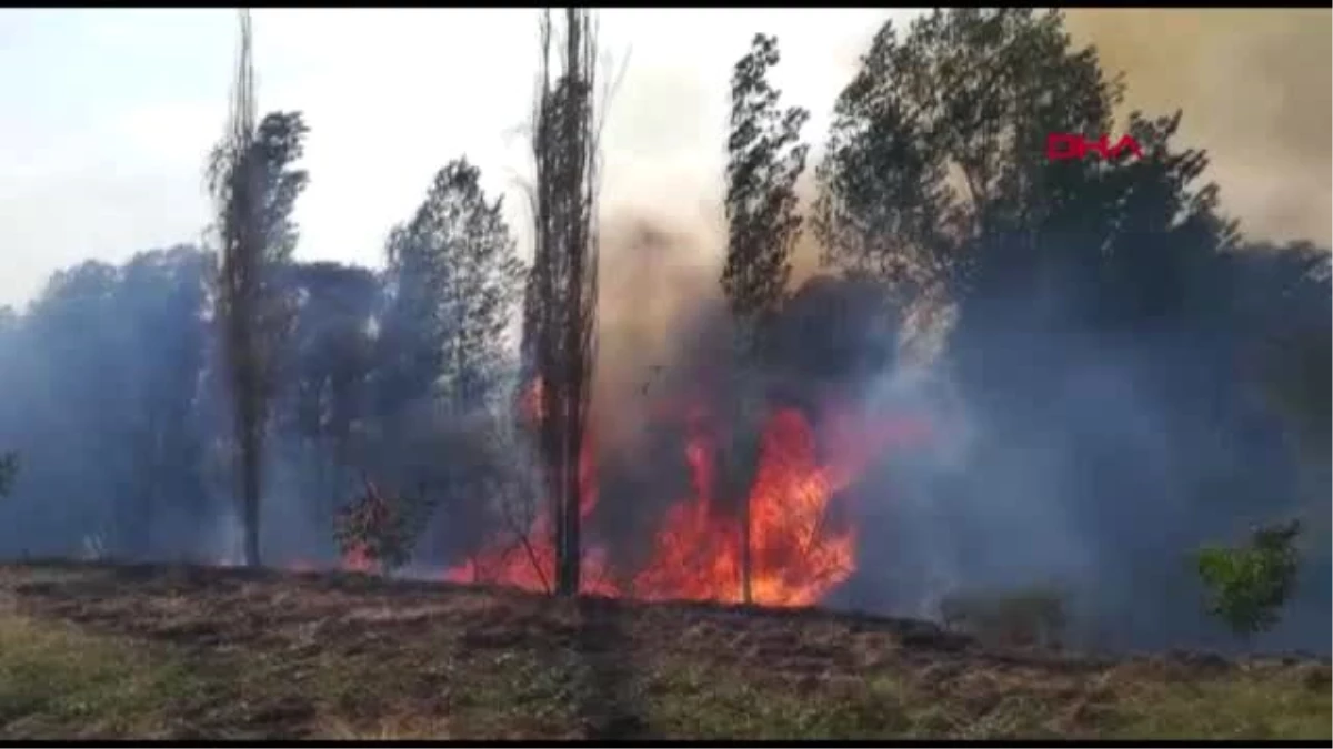 Malatya\'da iki farklı alanda çıkan yangın, 20 hektarlık alanı küle çevirdi