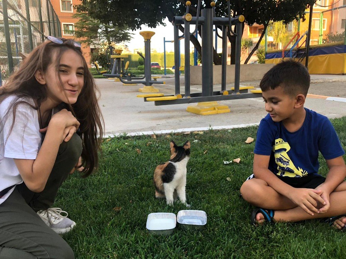Minik yüreklerden sıcaktan bunalan yavru kediye can suyu