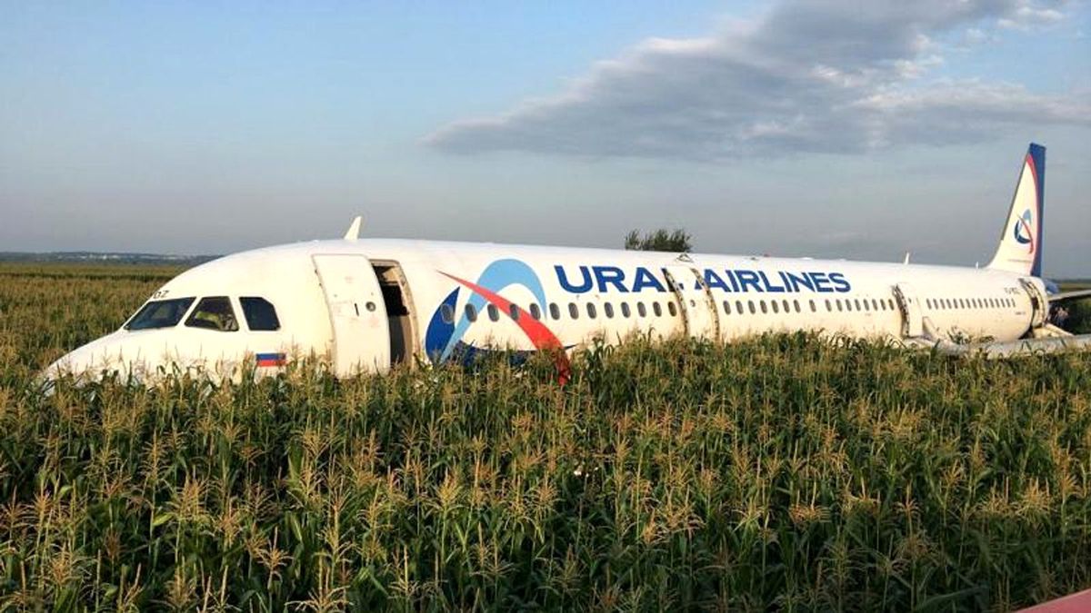 Moskova\'da kuş sürüsüne çarpan yolcu uçağı mısır tarlasına acil iniş yaptı: 23 yaralı
