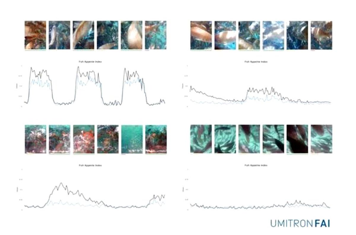 UMITRON, Fish Appetite Index\'i piyasaya sürdü