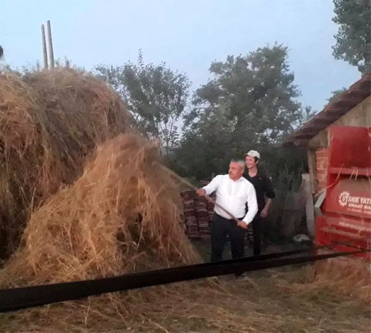 Vekil eline tırmık alıp ürünleri patosa vurdu