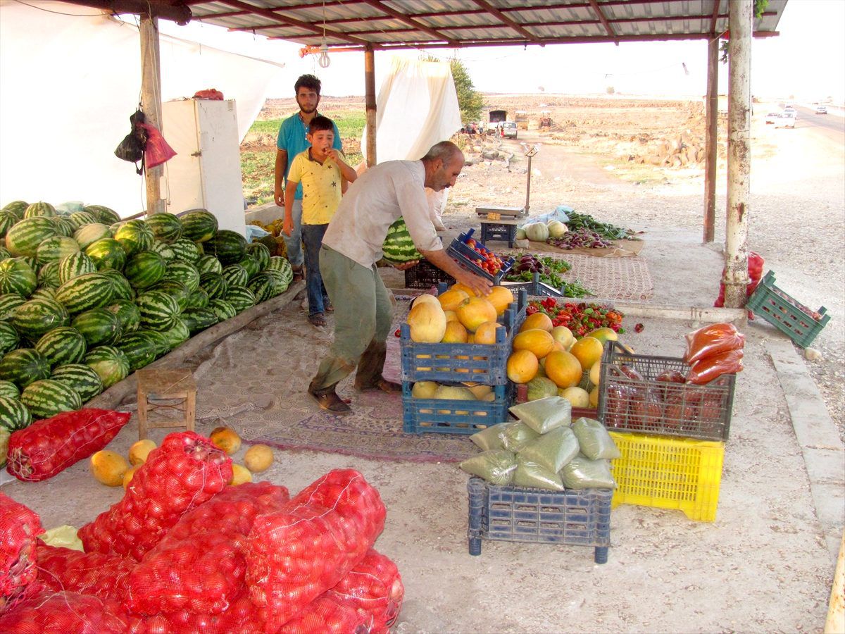 Araban\'da yol kenarlarında satılan doğal ürünlere ilgi
