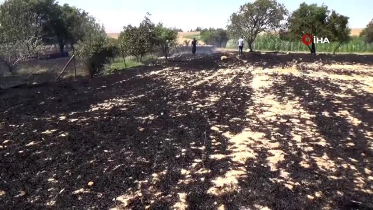 Bahçede çıkan yangında 80 ağaç zarar gördü