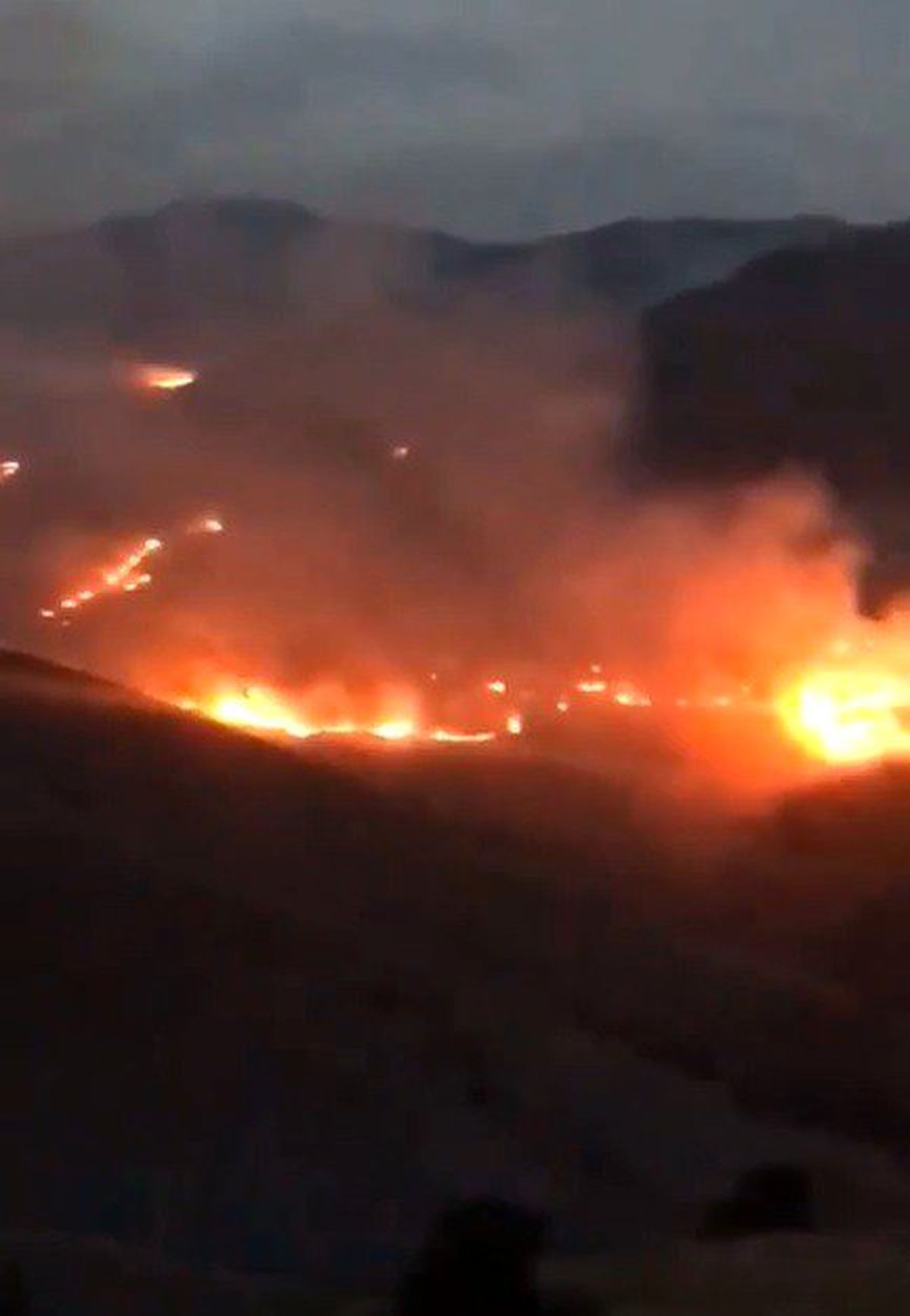 Bayburt\'ta orman yangını