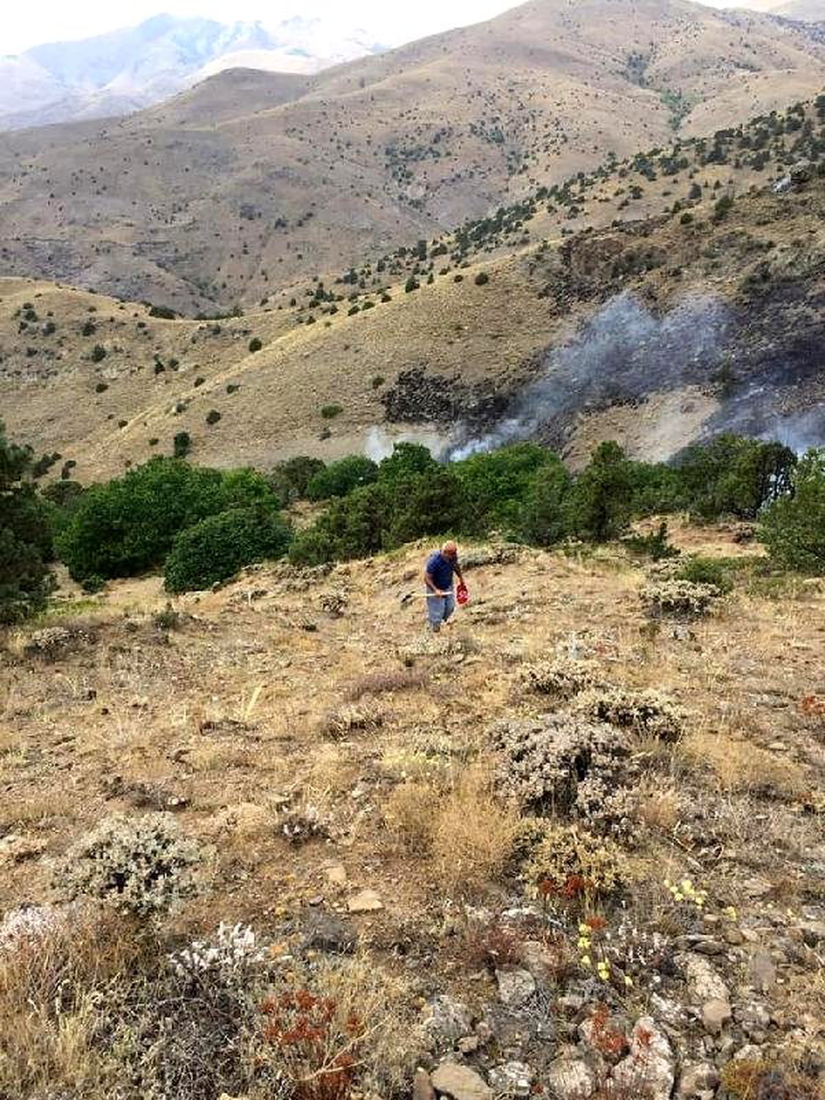 Bayburt\'ta orman yangını