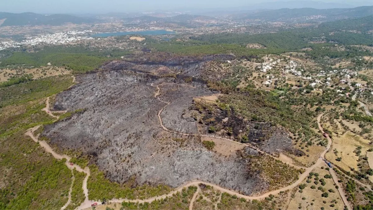 Bodrum\'da kömür karasına dönen alanlar drone ile görüntülendi