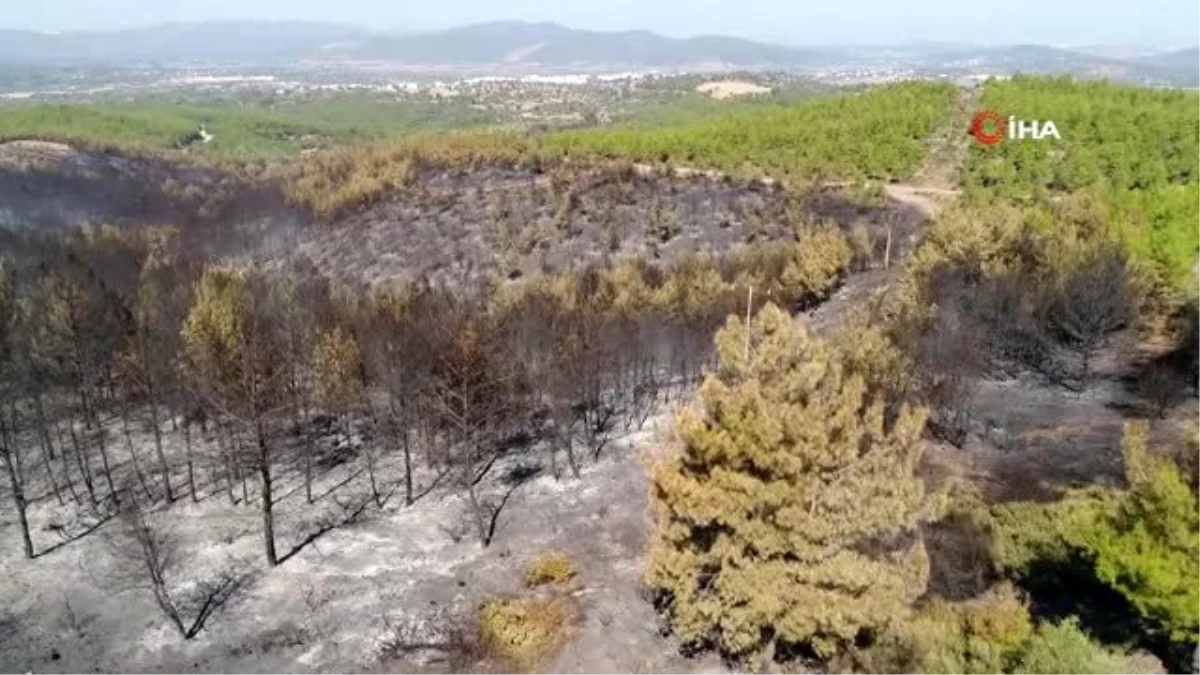 Bodrum\'da orman yangını sonrası kömür karasına dönen alanlar havadan görüntülendi