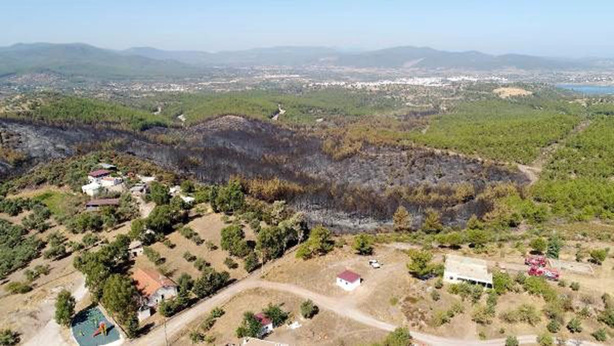 Bodrum\'da yangın çıkan bölge drone ile görüntülendi