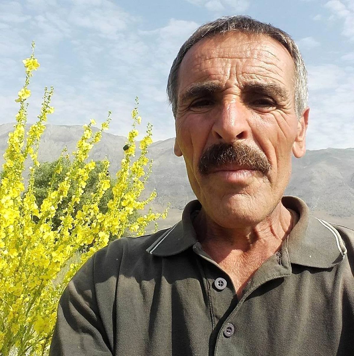 Boğa, sahibini öldürdü