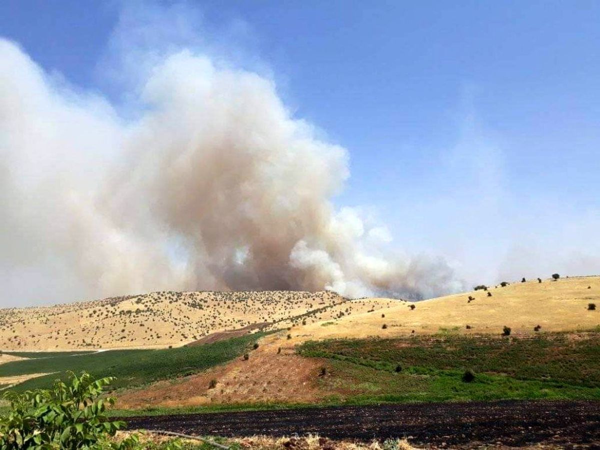 Diyarbakır\'da ağaçlık alanda yangın