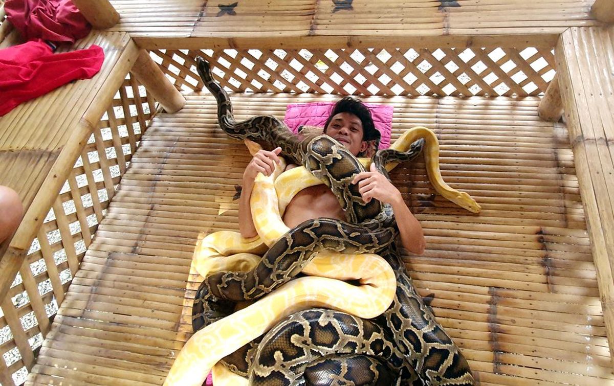 Filipinler\'de turistlere yılan masajı