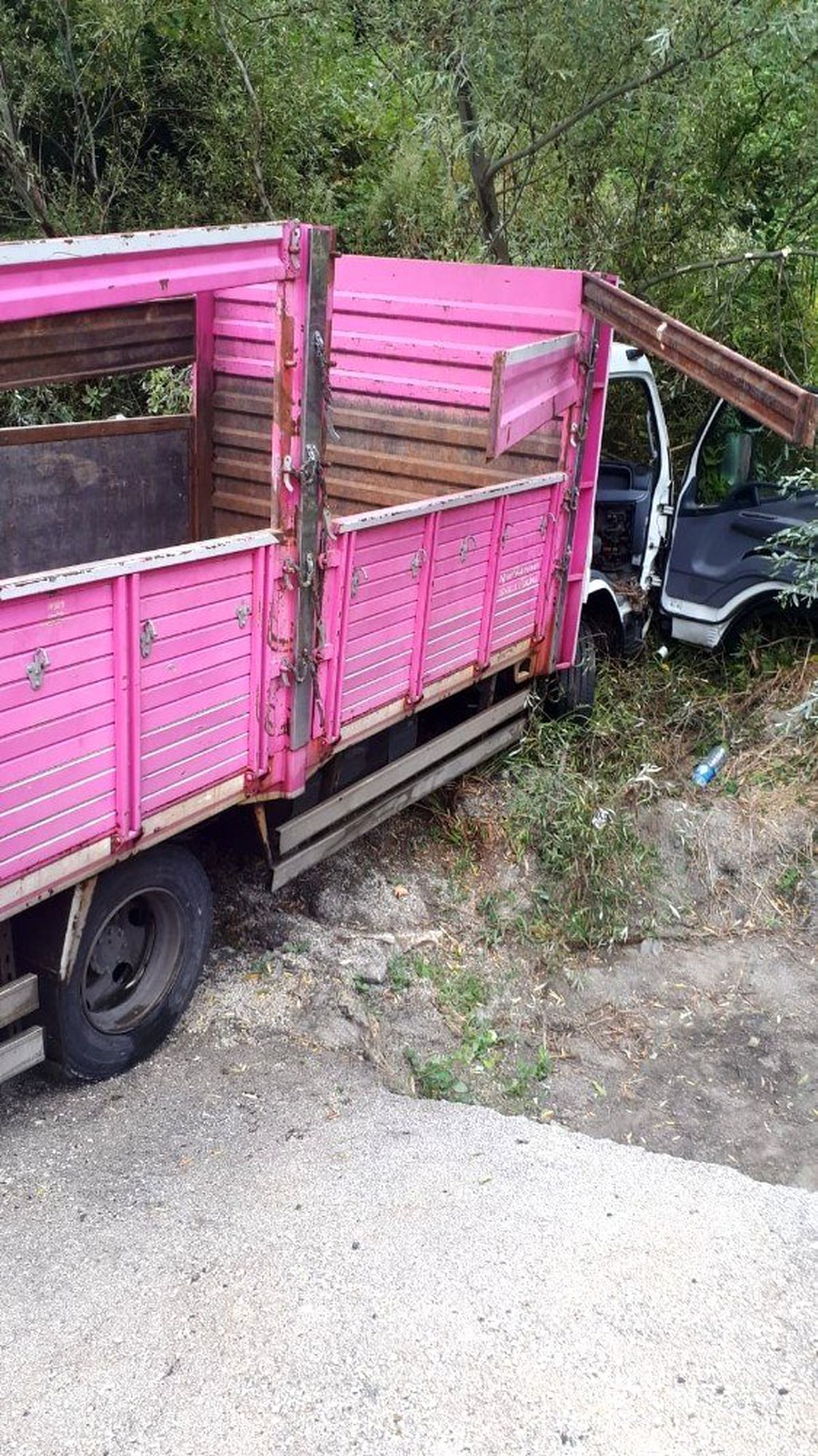 Kamyonet şarampole uçtu: 1 yaralı