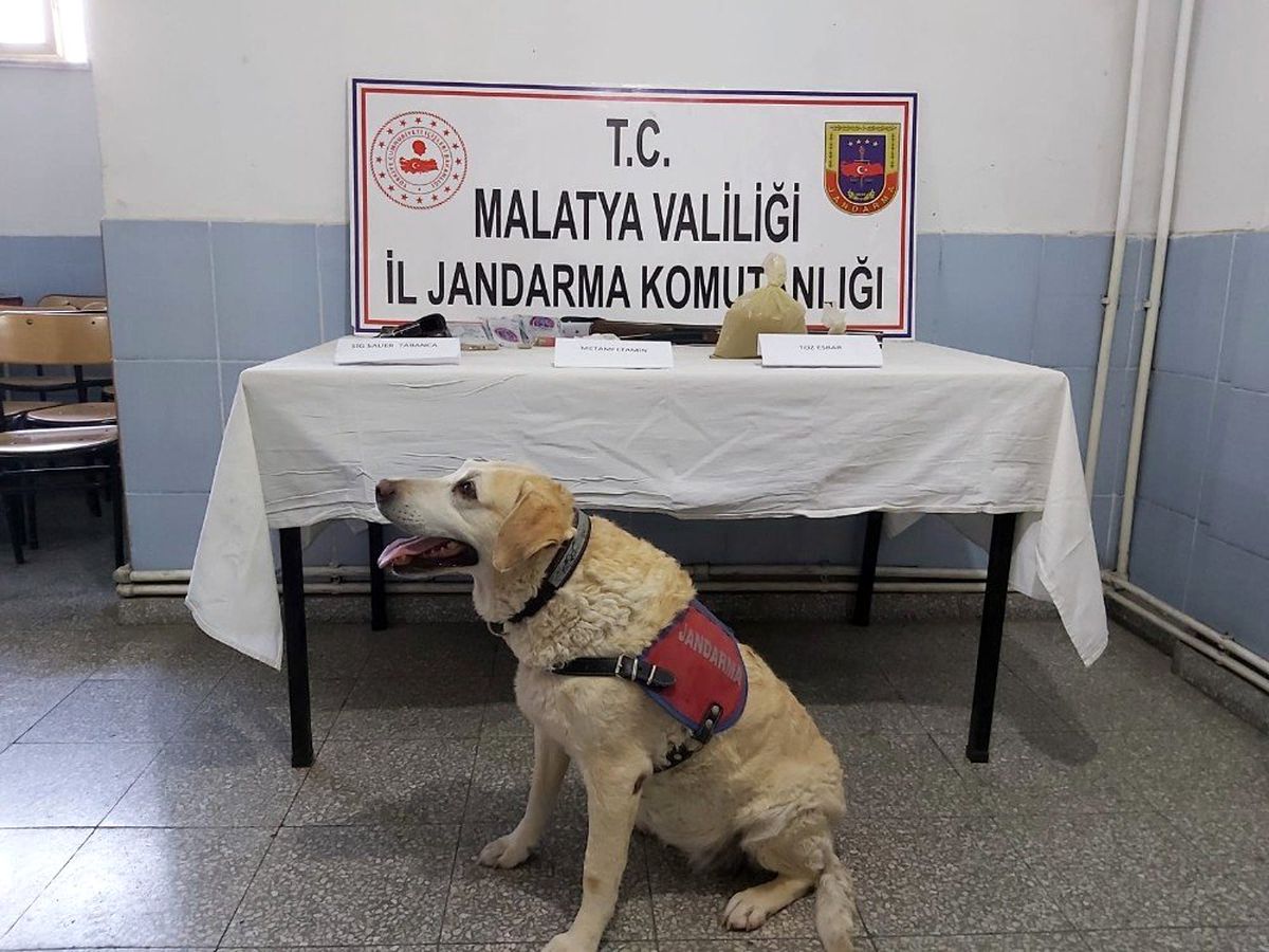 Malatya\'da uyuşturucu operasyonu: 1 tutuklama