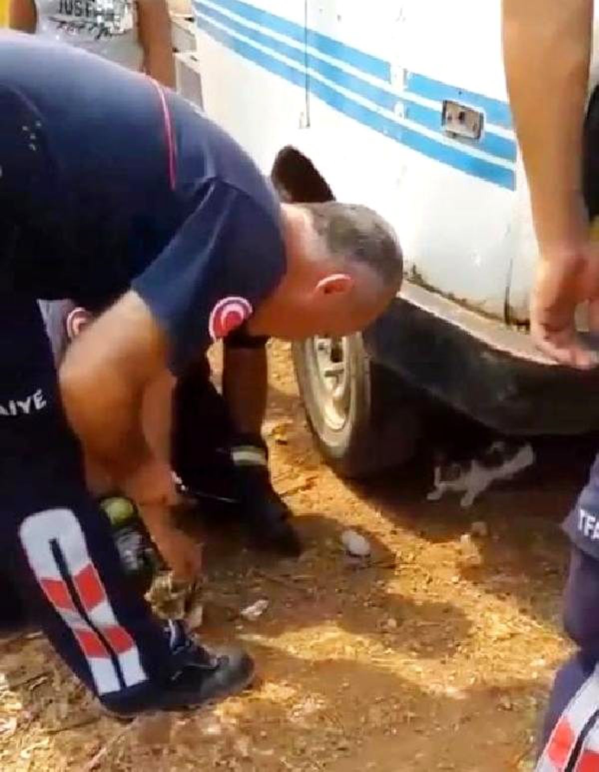 İpe dolanan yavru kediyi itfaiye kurtardı